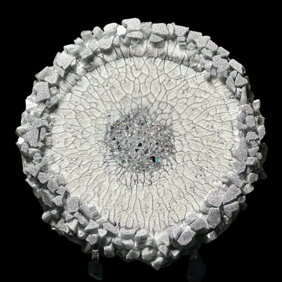 Silver Dragon Scale Large Crystal Edge Vanity Tray | Jewelry Tray | Perfume Tray - Picture 1 of 2